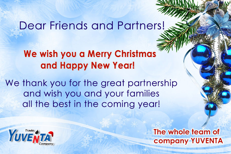 Merry Christmas and Happy New Year!